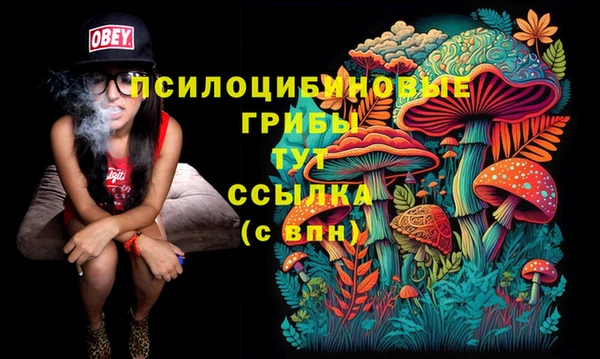 spice Алексин