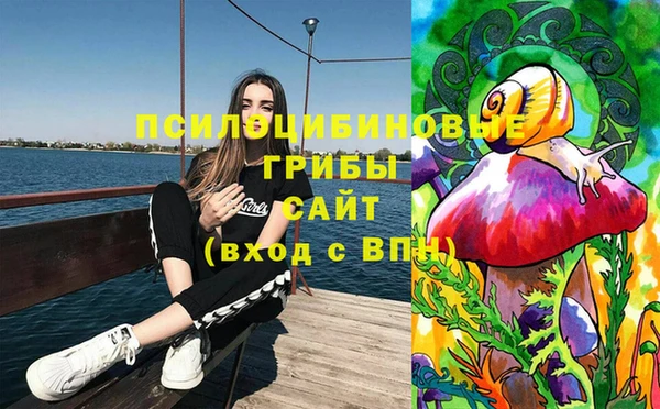 СК Алзамай