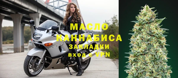стаф Новодвинск