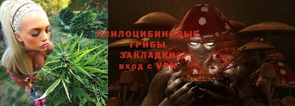 сатива Алексеевка