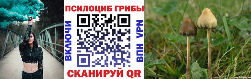 Псилоцибиновые грибы Cubensis  MEGA ONION  Королёв  купить наркоту 