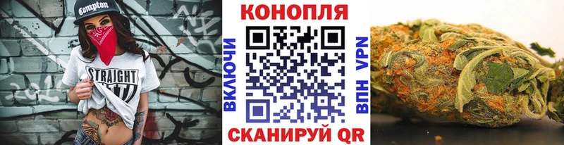 нарко площадка клад  купить наркотики цена  Королёв  Шишки марихуана THC 21%  гидра ТОР 